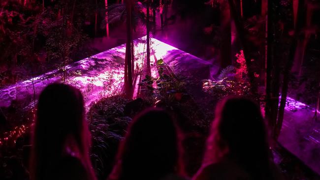 The team behind some of the world’s biggest multimedia productions is unveiling a first-of it’s kind ‘immersive’ after-dark experience on the Gold Coast. Picture: Supplied.