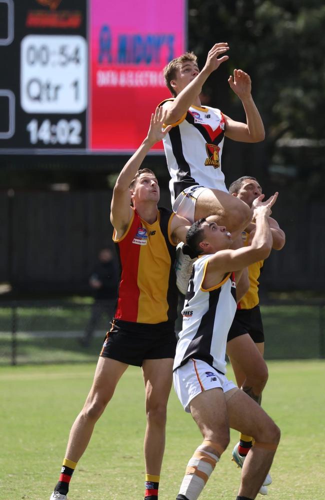 Caleb Lewis soars. Picture: Andrew Keech