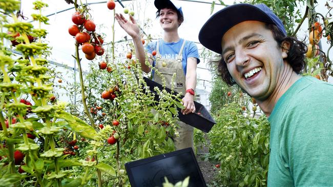 Launch of the Heart Foundation Healthy Food Access Tasmania web portal that is an interactive local food access map so you can identify what's available in your neighbourhood picture of co founders, . James Da Costa and Bridget Stewart from the Hobart City Farm