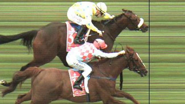 If Red Cadeaux had eaten just one more oat that fateful morning in 2011... AP Photo/Racing Victoria