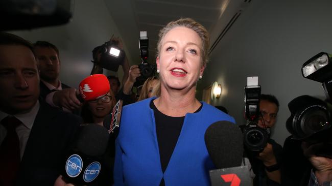 Deputy Nationals Leader Bridget McKenzie.