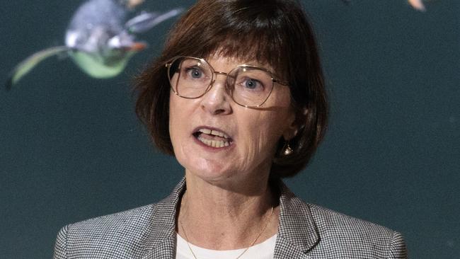 Victorian Health Minister Mary-Anne Thomas rejected advice to mandate masks in some settings. Picture: NCA NewsWire / David Geraghty.