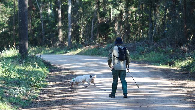 Police and Police dogs along with SES conduct a search in Good Night Scrub National Park looking for the missing 17 year old Pheobe Bishop. Pics Adam Head