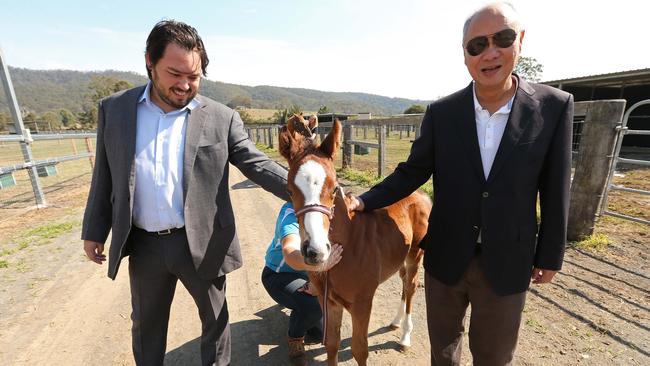 Hong Kong businessman Tony Fung (right) with his son Justin at his Aquis Farm in Canungra, behind the Gold Coast. Photo: Lyndon Mechielsen