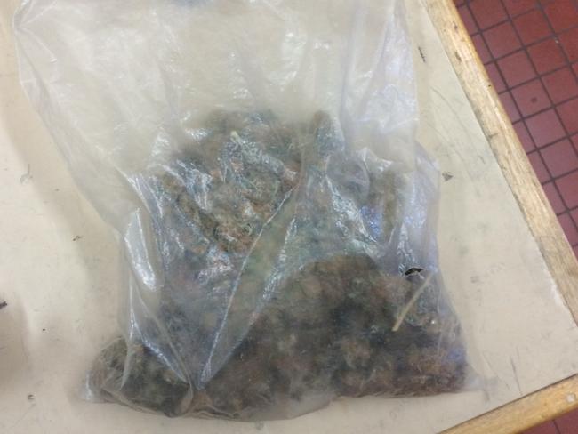 Toowoomba man begged cops to give him his ‘weed’ back