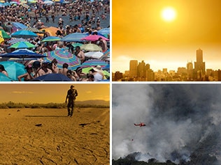 Images of the european heatwave.