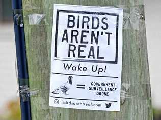 OPEN YOUR EYES: This "Birds aren't real” sign recently appeared on a pole in Louisa St. Picture: Troy Jegers