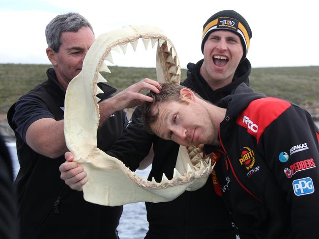 Supercars drivers Craig Lowndes, Garry Jacobson, and (with his head in the sharks jaws David Reynolds. Picture: Supercars