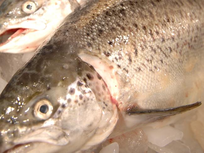 A poll shows support for stronger monitoring of fish farms.