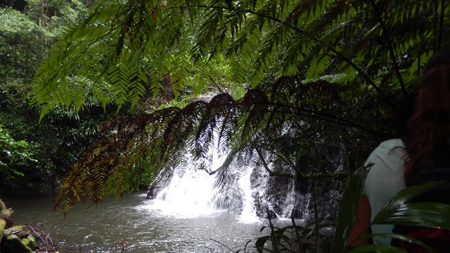 Coomera Falls Circuit. Picture by Bob Fairless