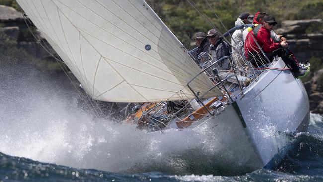 The three-time overall winner Love &amp; War limbering up for the race. Picture: Andrea Francolini.