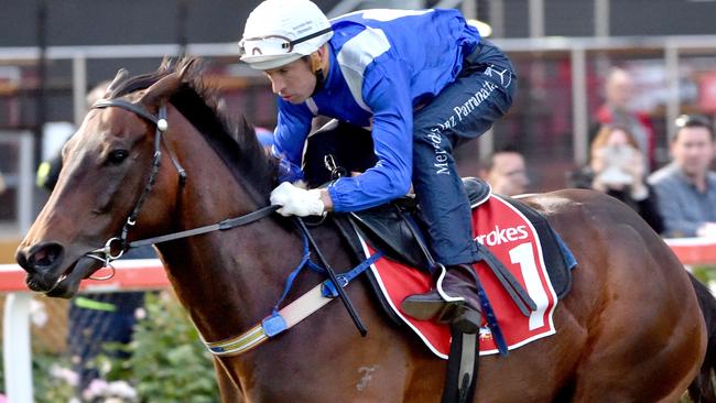 Winx will surpass Makybe Diva has Australian racing’s all-time highest prizemoney earner if she can win Saturday’s Cox Plate. Picture: Jay Town