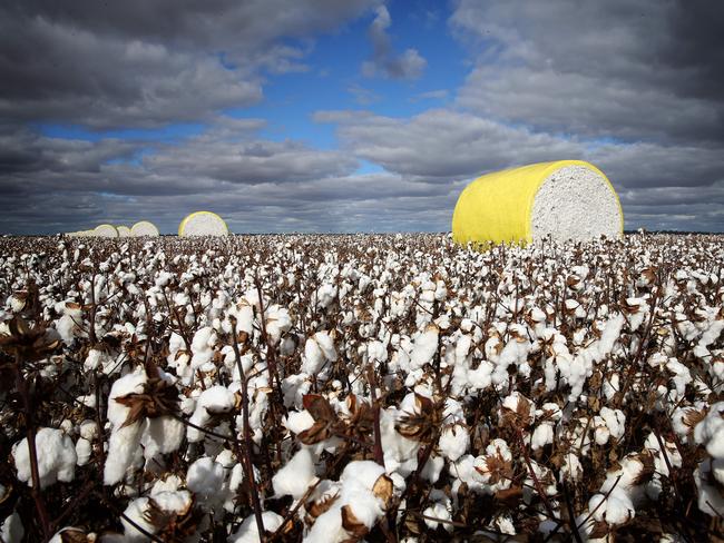 Auscott will officially open its state-of-the-art cotton gin - one of the biggest in the world - at Hay in NSW. Picture: ANDY ROGERS