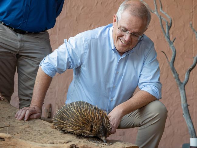 Scott Morrison meets an echidna at the Alice Springs Desert Park in the NT. Picture: Jason Edwards