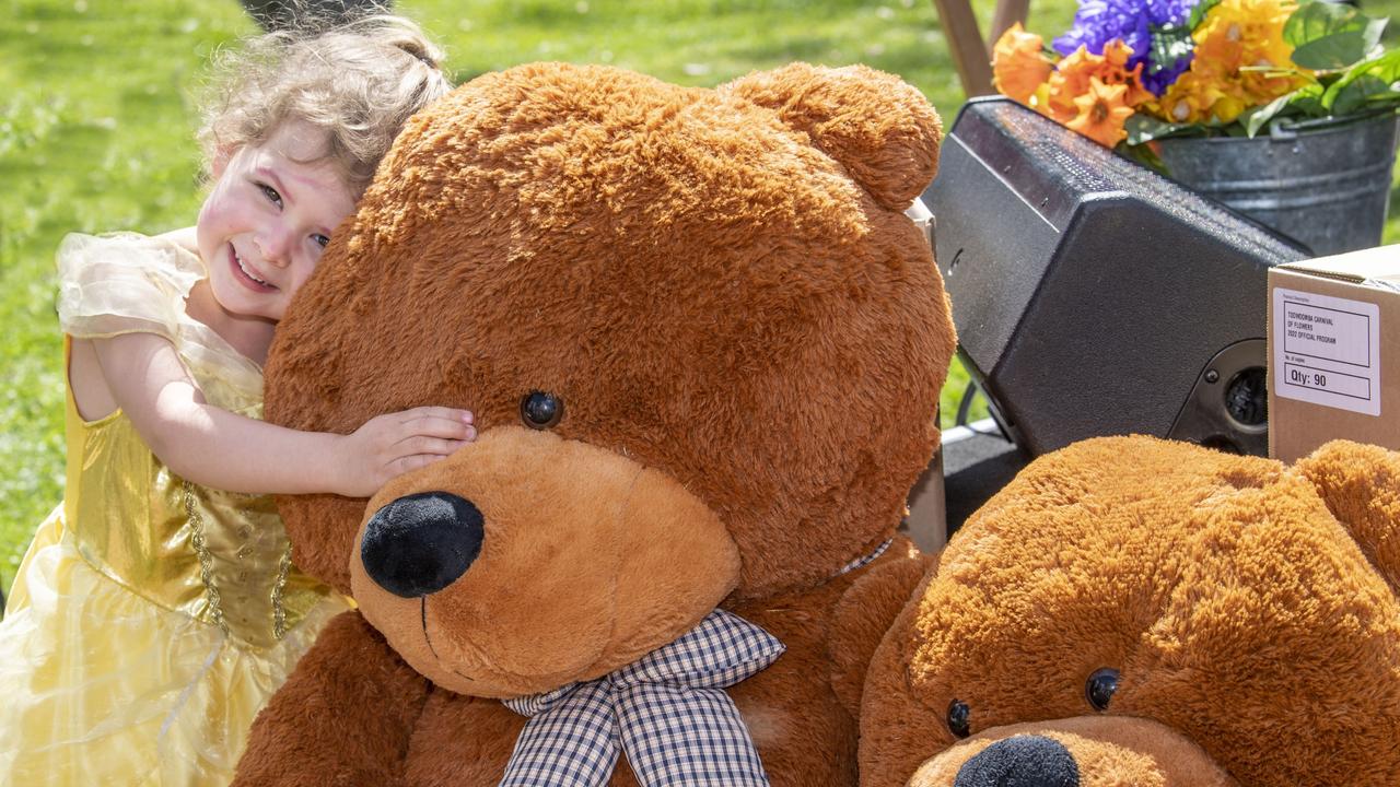 Bowie Jeffery (3yo) finds cuddly friends at the Toowoomba Carnival of Flowers Teddy Bears Picnic. Picture: Nev Madsen.