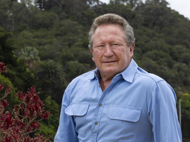 Andrew Forrest pictured along Swan River, Perth WA. Forrest has written a letter to Facebook CEO Mark Zuckerberg criticising his lack of action over fake ads.PHOTO: MARIE NIRME