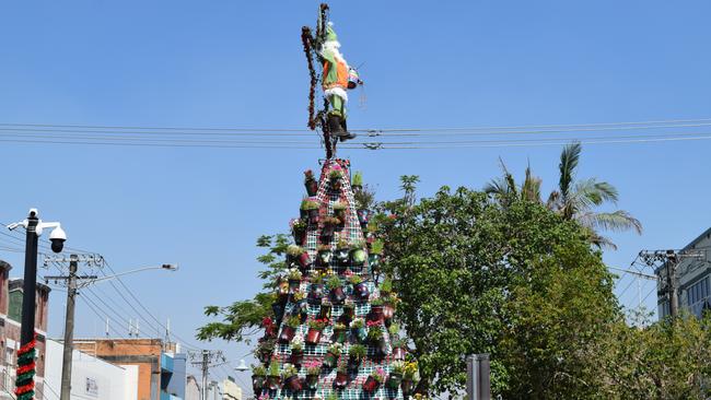 FESTIVE: Lismore City Council's 2019 recycled Christmas tree has been unveiled. The 7-metre CBD festive sculpture is made from more than 300 potted plants.