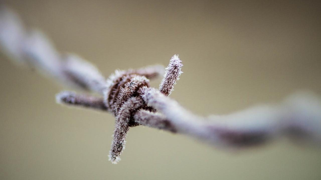 Harsh frost in drought zones, waterlogging to the north