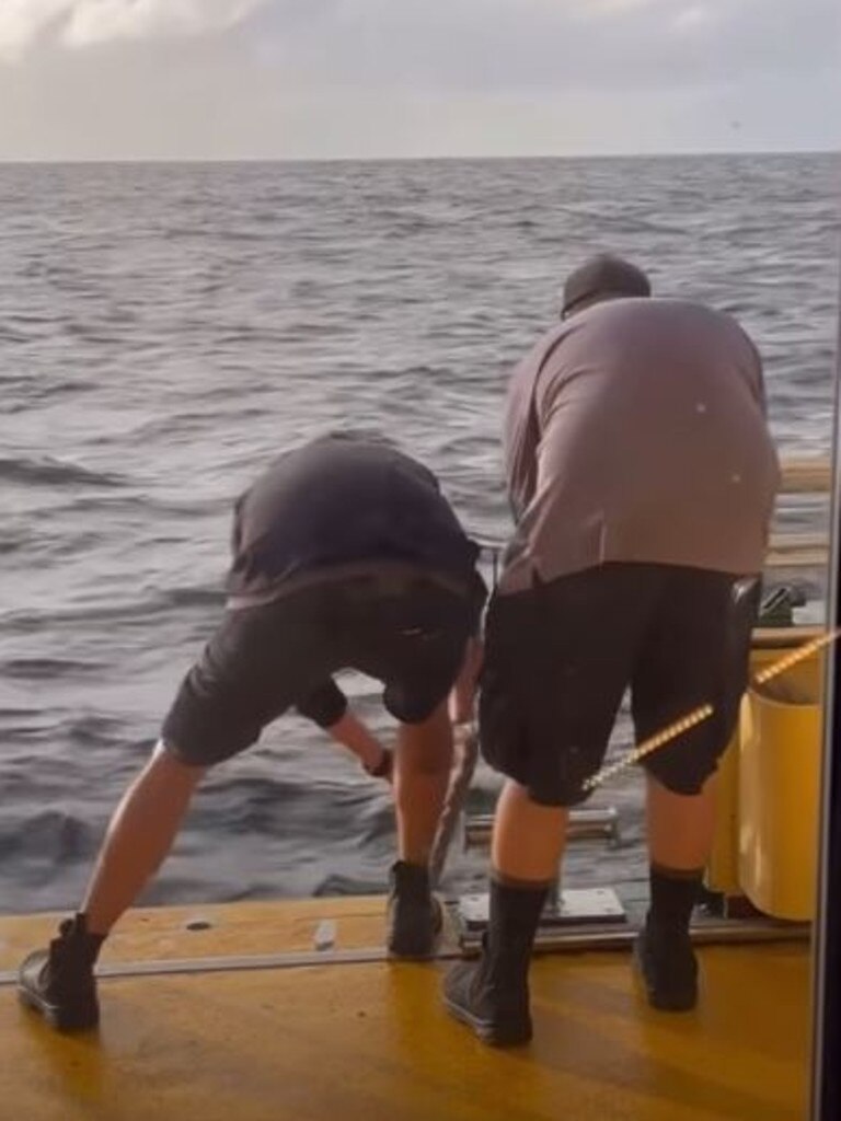 Two staff members were seen handing the man a rope. Picture: Instagram@manlyobserver