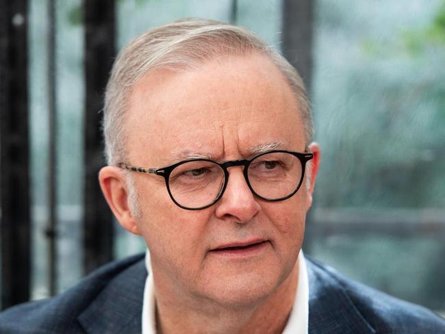 ‘Different parliament’: Albanese comments on potential split of the Coalition