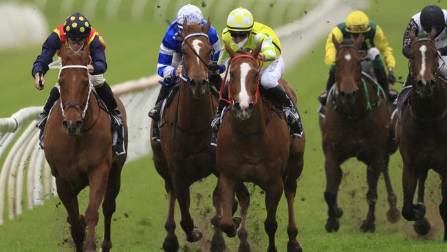 Eduardo (yellow) topped off his Everest preparation with an trial win at Randwick last week. Picture: Getty Images