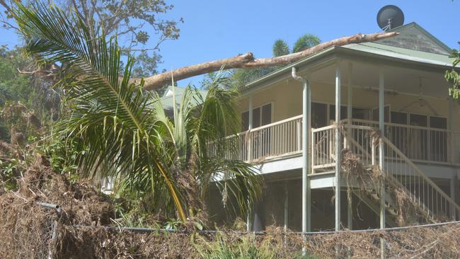 A large tree lays across the roof of a home at Wujal Wujal. Picture: Bronwyn Farr