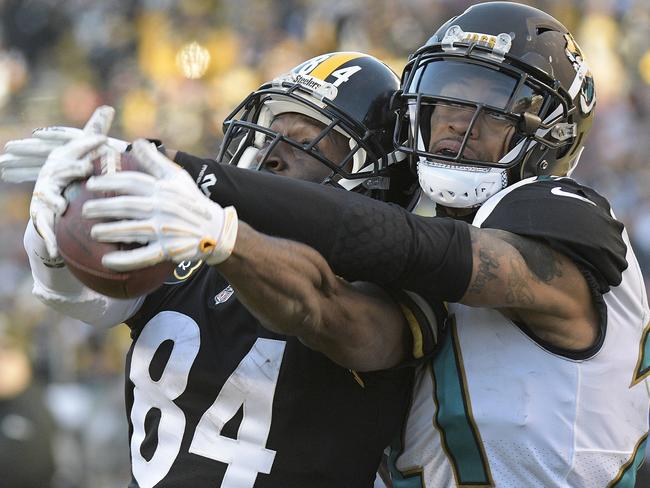 Pittsburgh Steelers wide receiver Antonio Brown catches a pass for a touchdown (AP Photo/Don Wright)