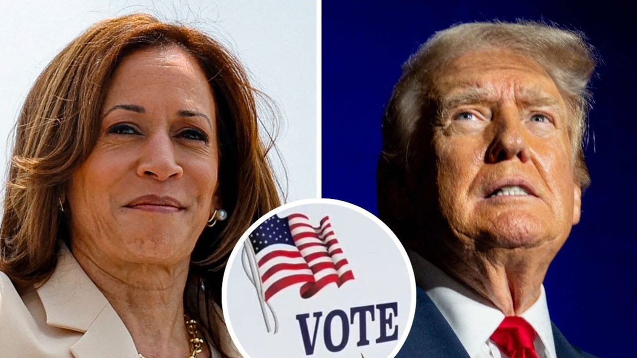 ‘Didn’t know she was black’: Trump questions Harris’ race