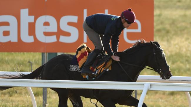 Cliffsofmoher is value for money in Melbourne Cup betting. (AAP Image/James Ross) NO ARCHIVING