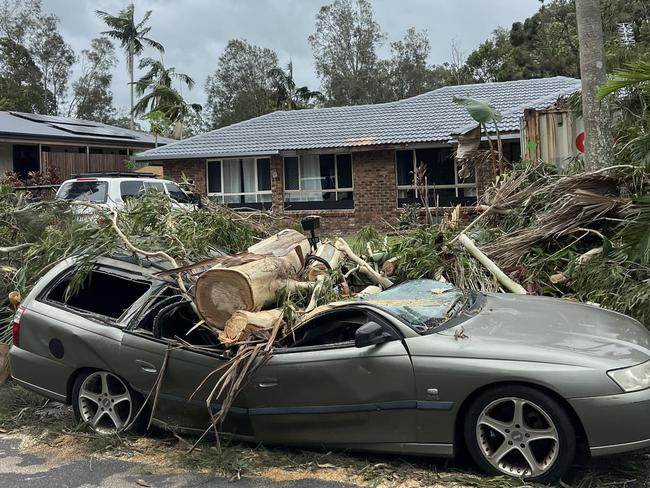 Trees down, 33k without power, as Alfred’s impact grows