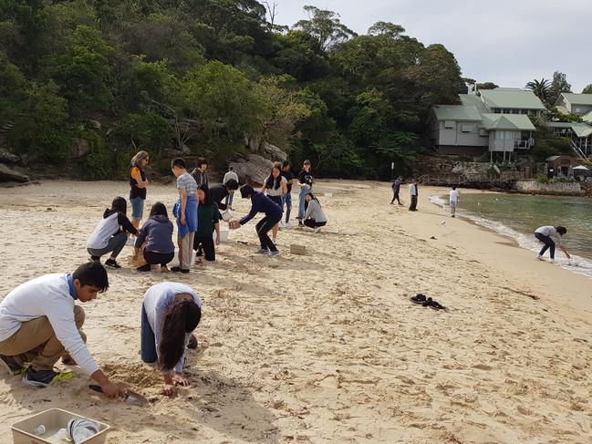 Volunteers sifting through sand to collect microplastics. Picture: Supplied