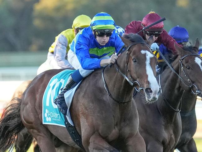 Chorlton Lane (IRE) ridden by Ethan Brown wins the Filkel BM84 Handicap at Bendigo Racecourse on April 13, 2024 in Bendigo, Australia. (Photo by Scott Barbour/Racing Photos via Getty Images)