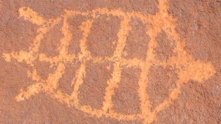 Rock engraving of a turtle on the Burrup peninsula, near Dampier, WA. Picture: UWA Centre for Rock Art