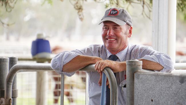 Days Whiteface stud principal Lachy Day said the Show’s return would be important for rural and livestock communities.