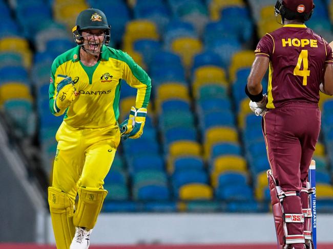 Alex Carey (L) of Australia celebrates the dismissal of Shai Hope (R) of West Indies during the 2nd ODI between West Indies and Australia at Kensington Oval, Bridgetown, Barbados, on July 24, 2021. (Photo by Randy Brooks / AFP)