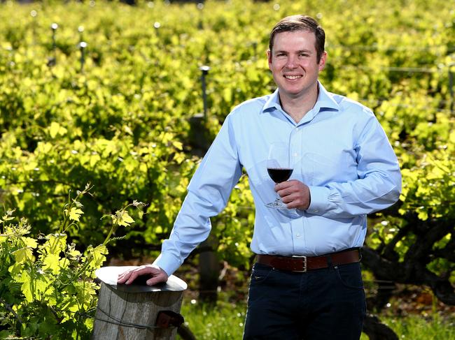 DECISIONAG: EMBARGOED UNTIL NOVEMBER 9, 2016 19/10/16 - Treasury Wine Estates Australia & New Zealand Managing Director Angus McPherson at Penfolds Magil Estate Winery Picture Simon Cross