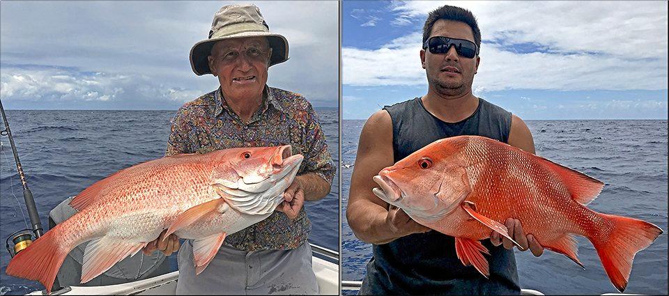 Moreton Bay Snapper & Jewfish - BAIT, TACKLE AND TECHNIQUES 