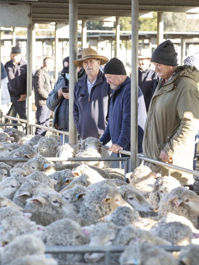 Buyers place their bids at Bendigo market. Picture: Zoe Phillips