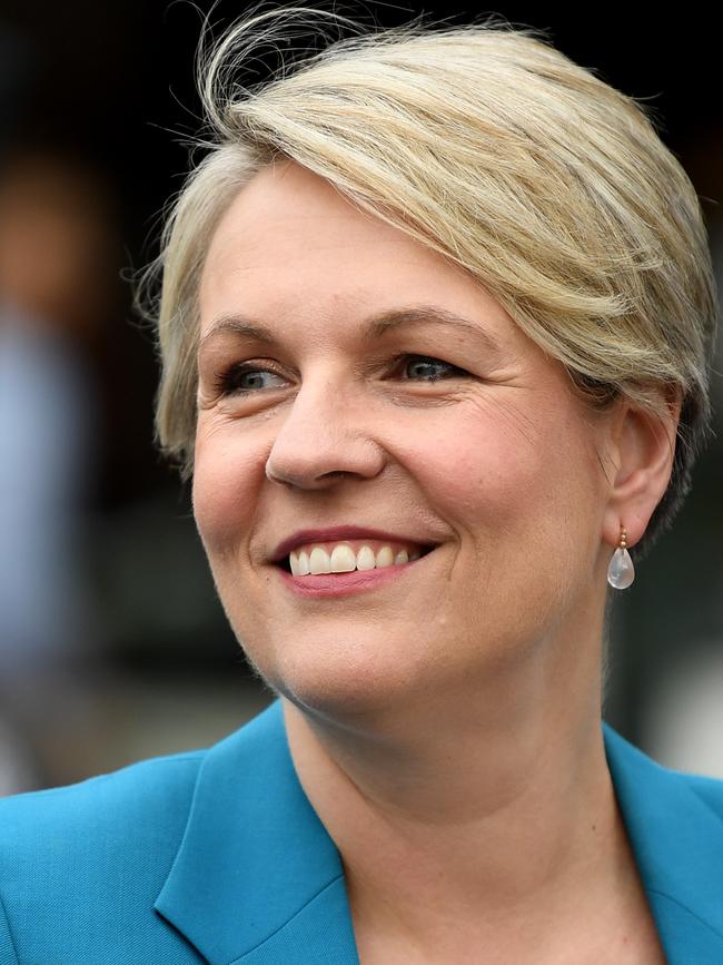 Opposition Education spokeswoman Tanya Plibersek.