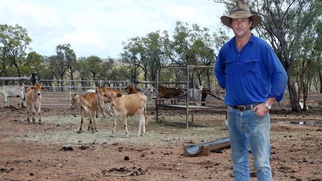 Painful: Karma Waters Station, west of Mt Carbine, in still in drought after three years of little rain. Alan Pedersen stands with some young wieners, who have been orphaned after their mothers were no longer able to feed them. Picture: Stewart McLean