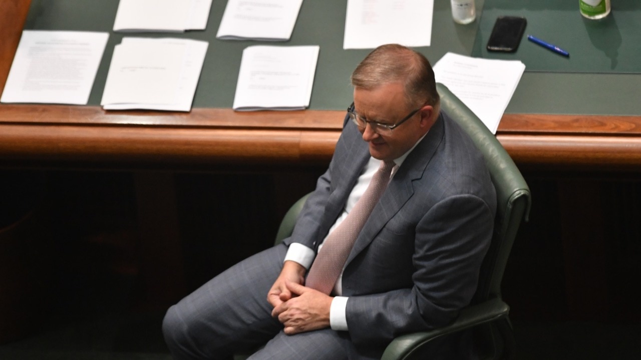 Labor may strongly reconsider whether Albanese is the best leader: Clennell