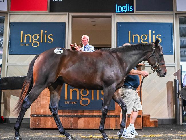 8 April 2024, Warwick Farm. Easter sale by Inglis auction. Winx x Pierro Filly sells for a record breaking AU $10 Million. Photo: Supplied