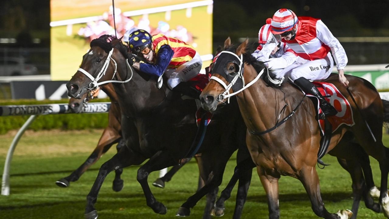 Fuller winning at Canterbury in December 2022. Picture: Bradley Photos DIGITAL USE ONLY