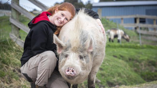 Brightside Farm Sanctuary carer Louise Callanan with Ned the pig at Cygnet.  Picture: Chris Kidd