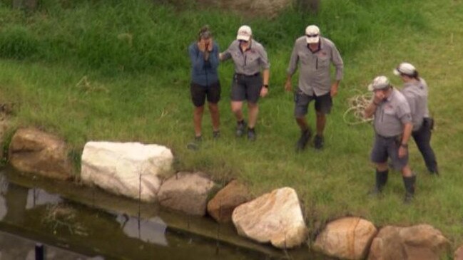 Sydney Zoo staff in the chimpanzee enclosure on Friday morning. Picture: 7 News