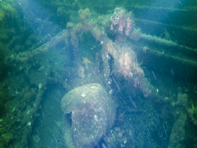 Algal and seaweed growth on the Lake Illawarra wreck. Picture: Aruna De Silva