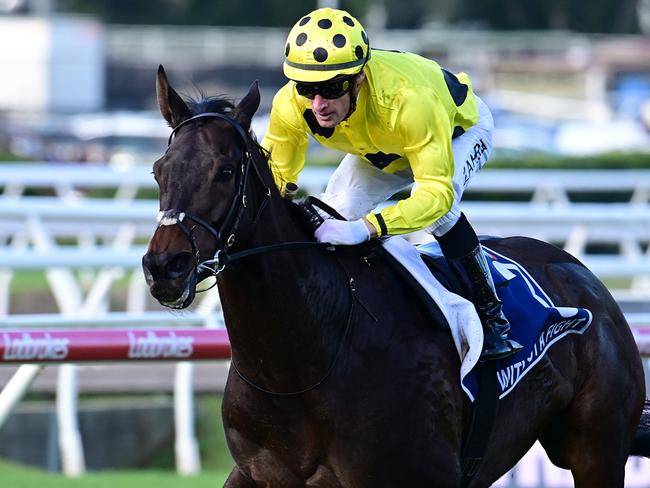 Without A Fight bolts in The Q22 under jockey Mark Zahra at Eagle Farm. Picture: Grant Peters - Trackside Photography.