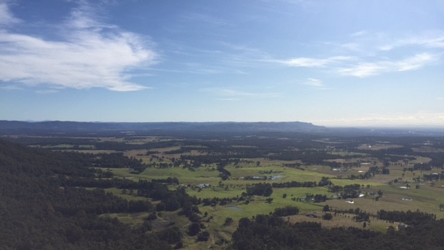 A 30-year-old woman has died after being struck by a falling tree branch at Watagans National Park in Cooranbong.