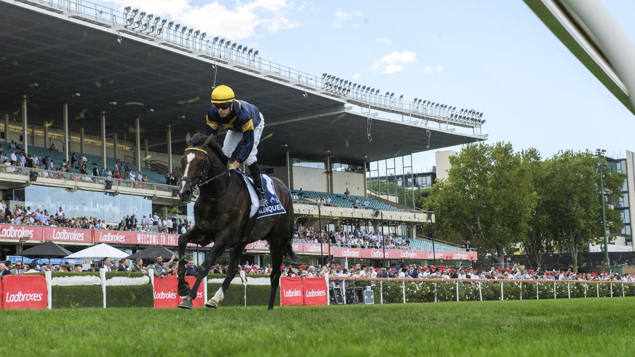 Melbourne Cup 2023 form guide, horses, tips, odds, field, analysis of