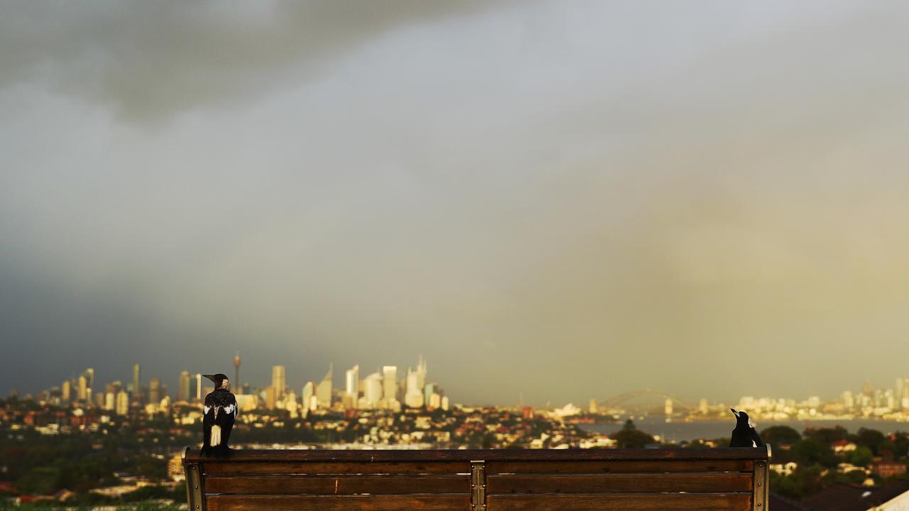 The view from a park in Dover Heights. Picture: John Grainger